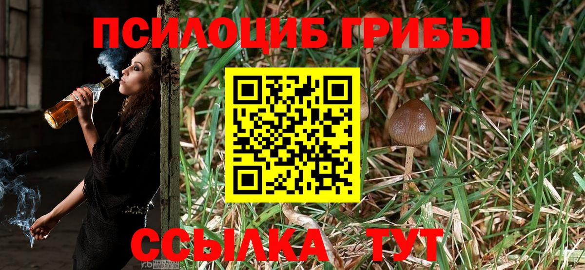 Галлюциногенные грибы MAGIC MUSHROOMS  Псилоцибиновые грибы Psilocybine cubensis  Кириши  наркота  Вход с VPN 