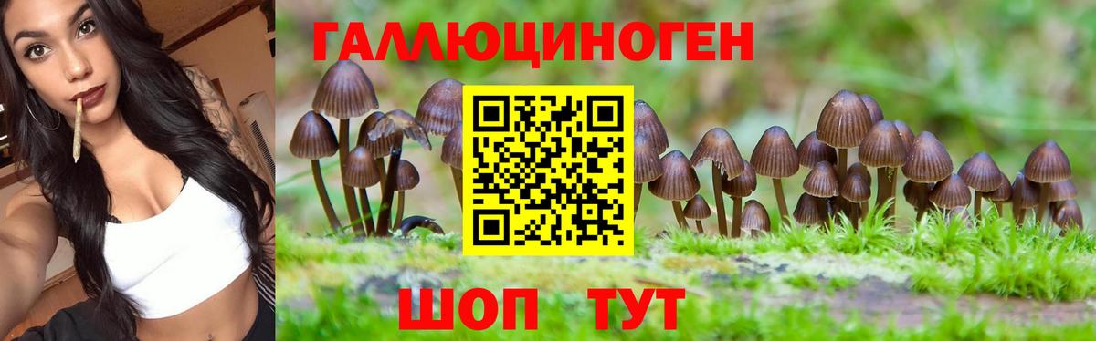 Галлюциногенные грибы GOLDEN TEACHER Кириши